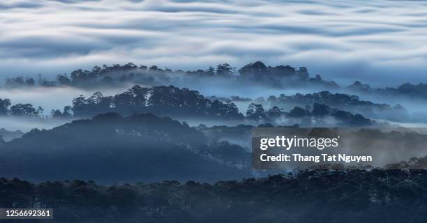 amazing layers of mountain in misty day - borneo rainforest stock pictures, royalty-free photos & images