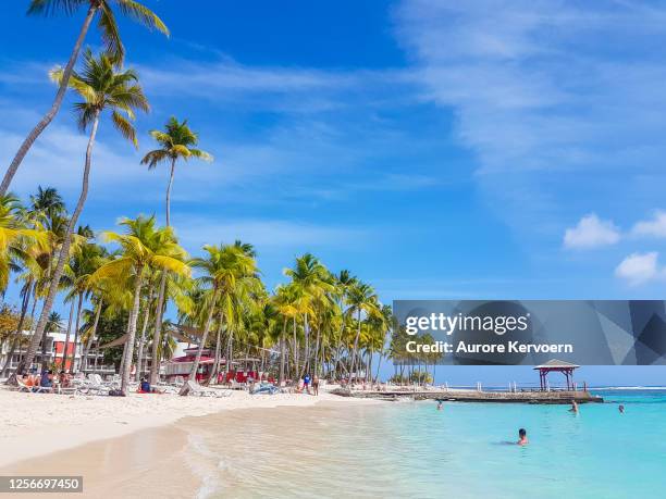 la caravelle beach, club med beach, guadeloupe. - guadeloupe beach stock pictures, royalty-free photos & images