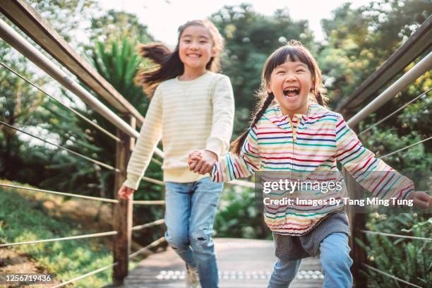 little sibling playing joyfully in country side - family with two children foto e immagini stock