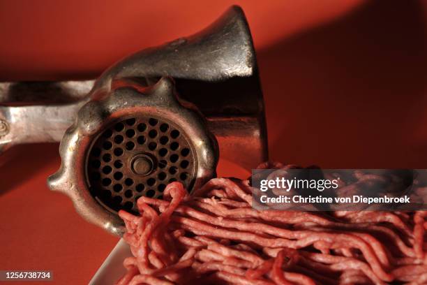 raw beef meat and  meat grinder - trituradora de carne fotografías e imágenes de stock