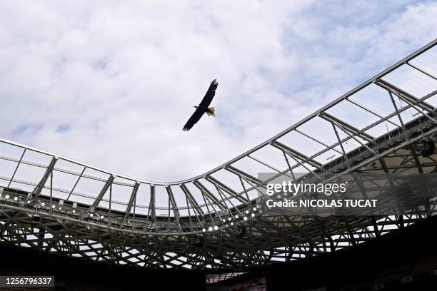 An eagle, Nice's mascot, flies above the stadium prior to the French L1 football match between OGC Nice and Toulouse FC at the Allianz Riviera...