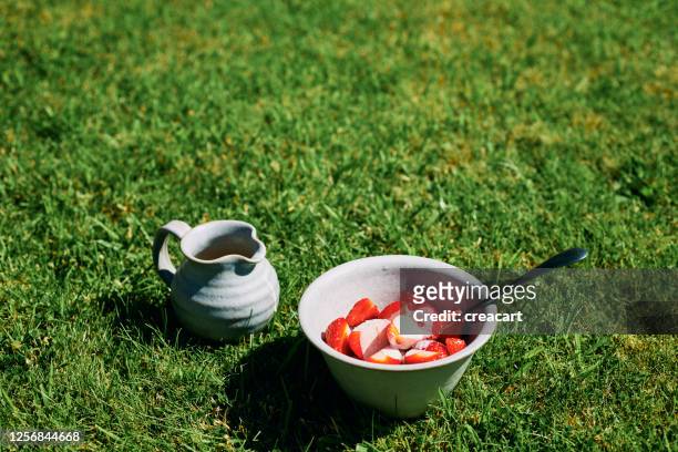 kom van aardbeien en room in openlucht op een tuingazon tijdens een zonnige de zomerdag. - strawberries and cream stockfoto's en -beelden