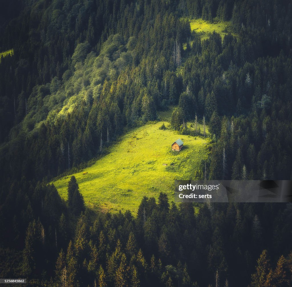 Lonely Little Houses Blending in Nature