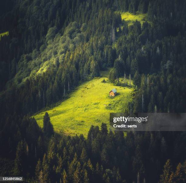 lonely little houses blending in nature - solitude mountain stock pictures, royalty-free photos & images