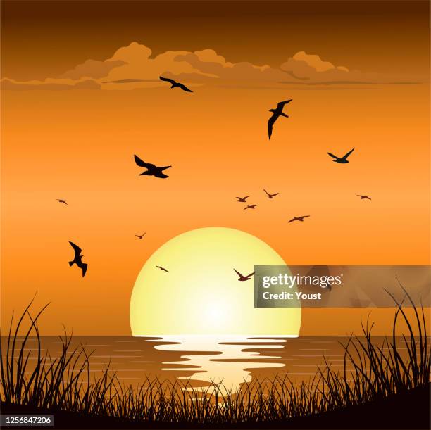 bildbanksillustrationer, clip art samt tecknat material och ikoner med sunset sunrise vid sea ocean - solnedgång