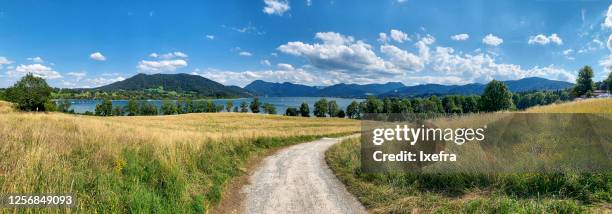 idyllic landscape around the tegernsee, bavaria, germany - bavaria summer stock pictures, royalty-free photos & images