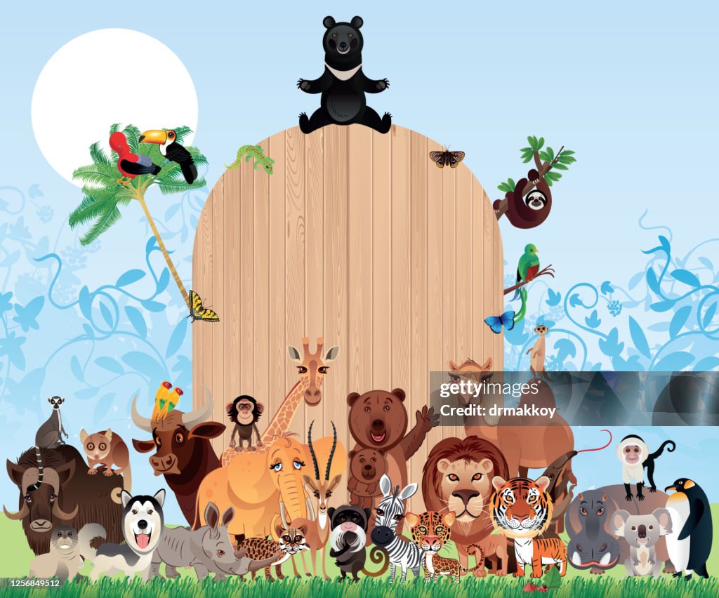 Cute Animals
