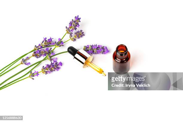 lavender flowers and beauty product glass dropper bottle with lavender oil isolated on white background. - lavendel freisteller stock-fotos und bilder