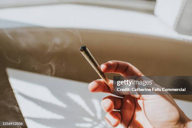 hand holding a spliff in a sunny home environment. cannabis plant casts a shadow onto white table. - weed ストックフォトと画像
