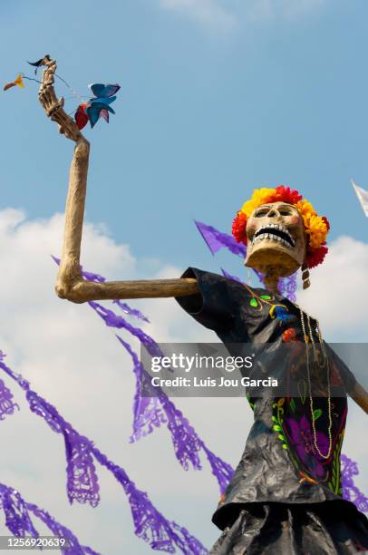 mexican catrina figure - day of the dead stock pictures, royalty-free photos & images