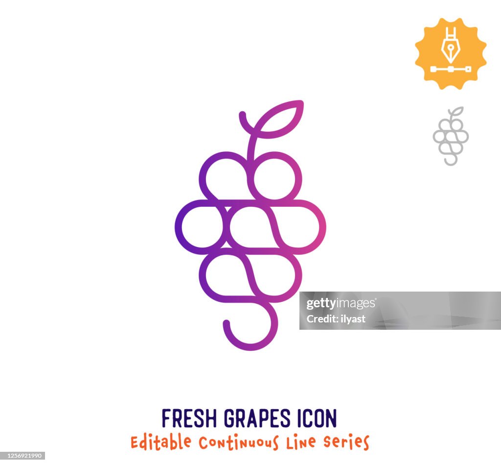 Fresh Grapes Continuous Line Editable Stroke Line