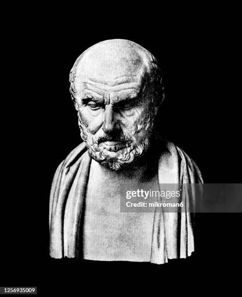 hippocrates of kos bust statue - greek culture stock pictures, royalty-free photos & images