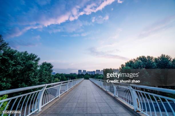 footpath on viaduct - voetgangersbrug stockfoto's en -beelden