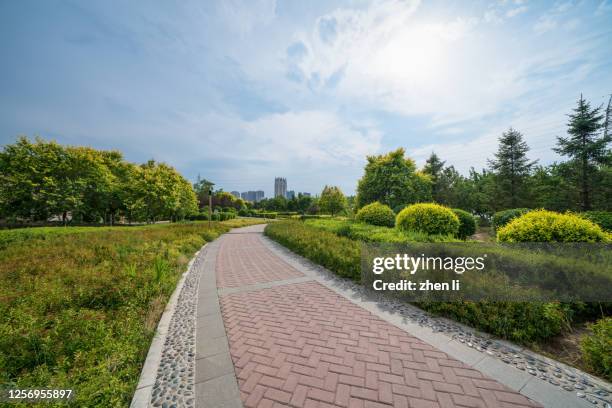 road in the park - brick road stock pictures, royalty-free photos & images