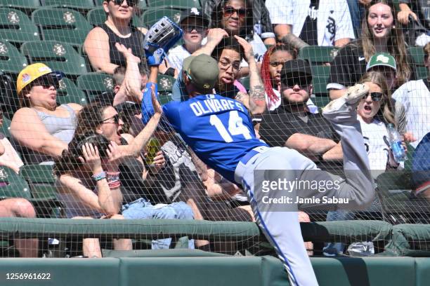 Edward Olivares of the Kansas City Royals falls into the netting along the left field line after making a catch in the fifth inning against the...