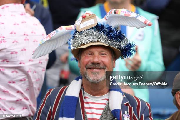 Brighton fan in a seagull hat during the Premier League match between Brighton & Hove Albion and Southampton FC at American Express Community Stadium...