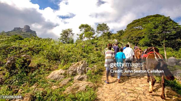haiti, pathway to the citadelle laferrière - la citadelle laferriere photos et images de collection