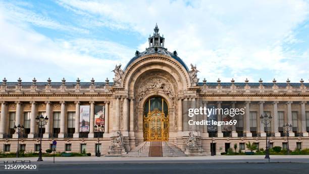 el petit palais de parís - petit palais fotografías e imágenes de stock