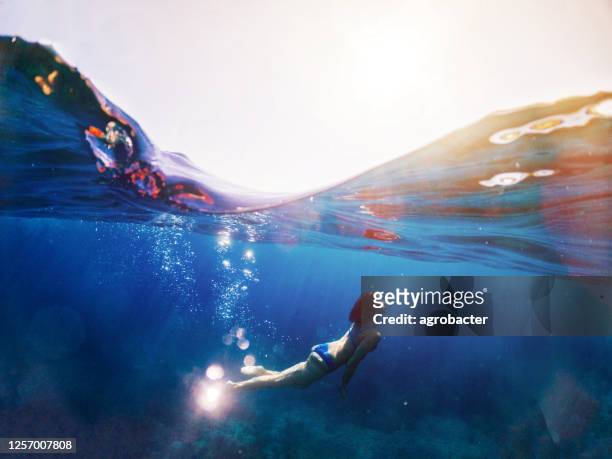 vrouw die onder het overzees duikt - ray fish stockfoto's en -beelden