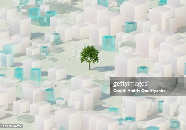 Tree Blocks Jpg 9,276 Tree Blocks Stock Photos, High-Res Pictures, and Images - Getty ...