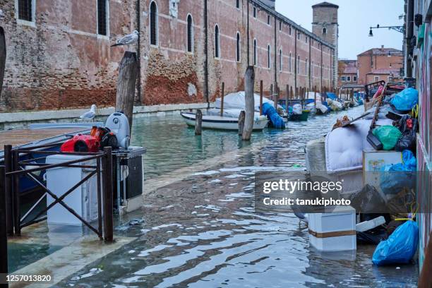 flooding in venice - venice flooding stock pictures, royalty-free photos & images