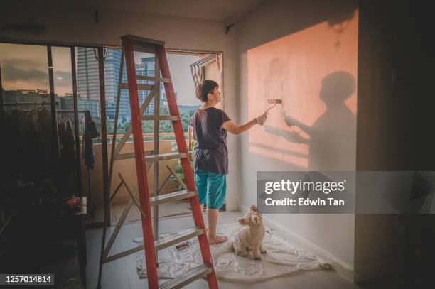 an asian chinese mid adult female painting her living room, apartment renovation during sunset with her toy poodle