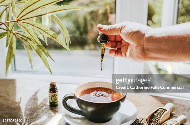 hand dropping cbd oil into a cup of tea, surrounded by cannabis plants - medical cannabis foto e immagini stock