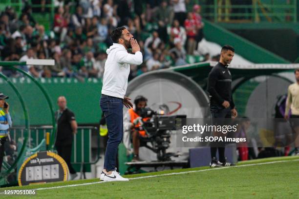 Ruben Amorim, Sporting's Coach, seen during the Portuguese Liga Bwin football match between Sporting CP and SL Benfica at Estadio Jose Alvalade....