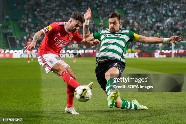 Rafa Silva from SL Benfica and Sebastian Coates from Sporting CP in action during the Portuguese Liga Bwin football match between Sporting CP and SL...