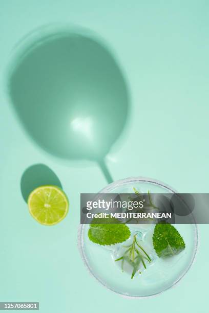 rosemary cocktail with mint leaves inside ice cubes on green mint background - lime overhead stock pictures, royalty-free photos & images