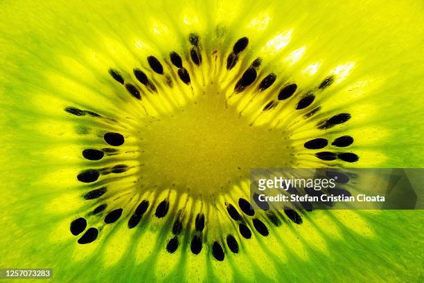 fresh kiwi fruit slice - bright food stock pictures, royalty-free photos & images