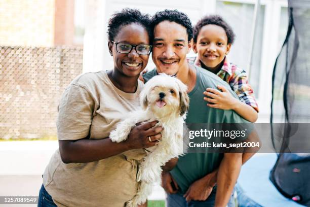 we just bought our first house - family dogs stock pictures, royalty-free photos & images