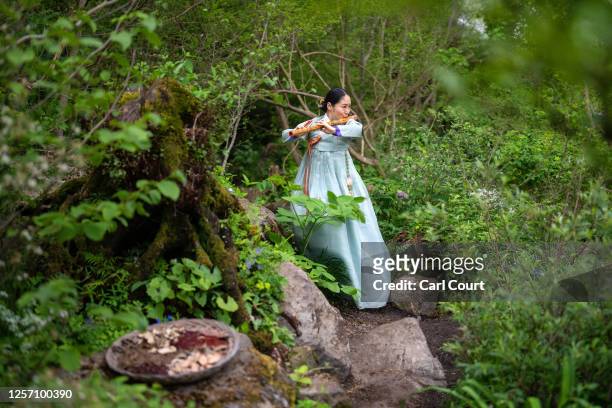Korean flautist performs in the "A Letter from a Million Years Past" Korean garden at the Chelsea Flower Show on May 22, 2023 in London, England. The...