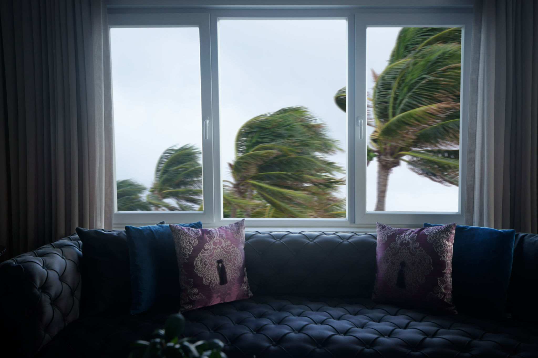 storm windows