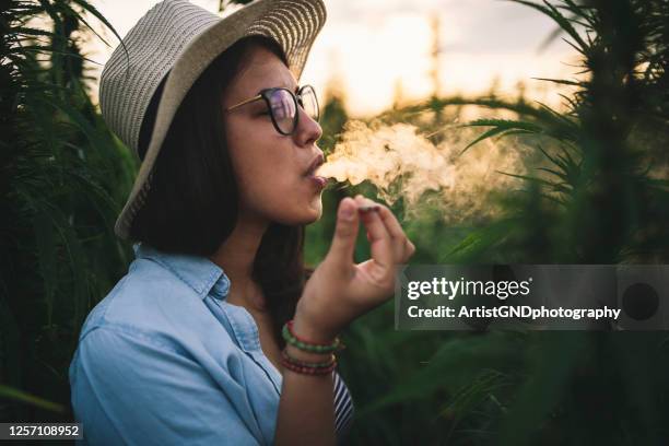 mooie vrouw die marihuana in plantage rookt. - rookkwestie stockfoto's en -beelden