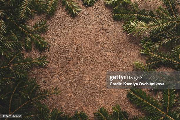 fir branches with cones in the corner on a white background isolated. new year card template. - spruce tree white background stock pictures, royalty-free photos & images