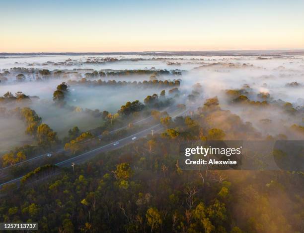 early morning fog in rural scene aerial - australian winter landscape stock pictures, royalty-free photos & images