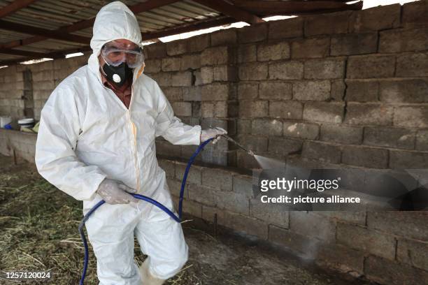 May 2023, Iraq, Baghdad: A veterinary sprays disinfectant at a livestock farm in Baghdad, as Crimean-Congo hemorrhagic fever cases rise in the...