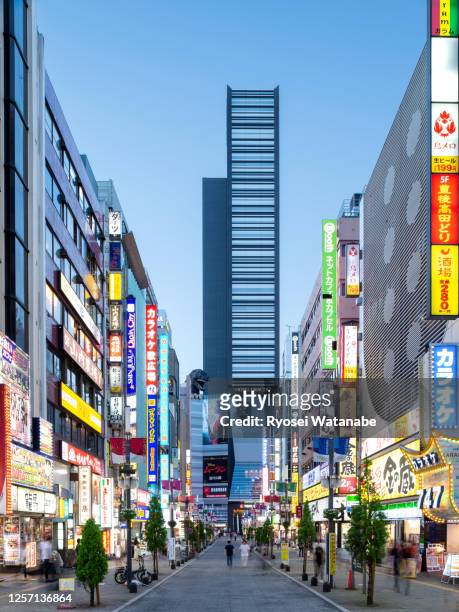 kabukicho central road at sunset - godzilla named work stock pictures, royalty-free photos & images