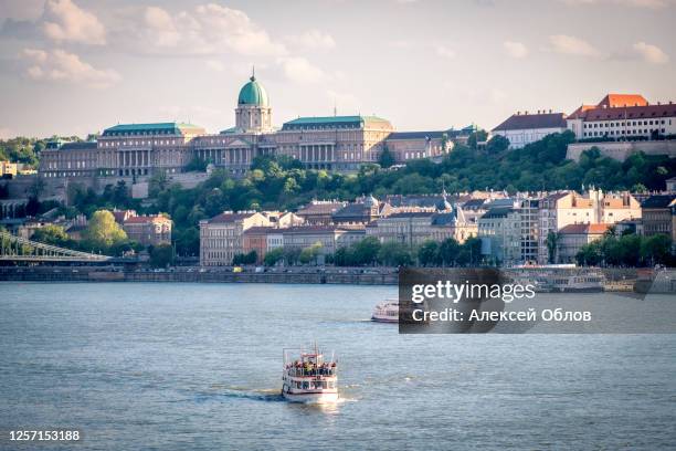 hungarian parliament building in budapest - parliament of italy stock pictures, royalty-free photos & images