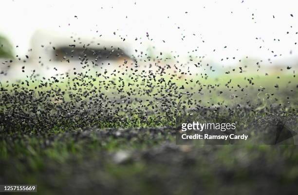 Louth , Ireland - 19 May 2023; A detailed view of the pitch before the SSE Airtricity Men's Premier Division match between Dundalk and Bohemians at...