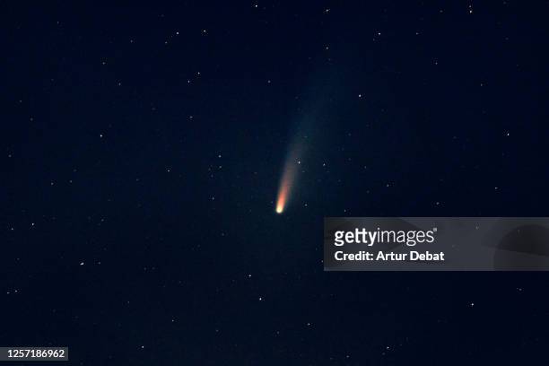 stargazing the c/2020 f3 neowise comet during night with stars. - sternschnuppe stock-fotos und bilder