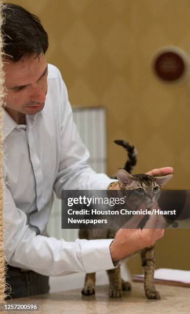 Pascal Remy 30 Rex Marriott Stock Photos, High-Res Pictures, and Images - Getty Images