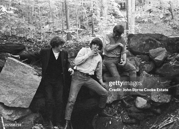 Sal Yanovsky Zal Yanovsky Photos and Premium High Res Pictures - Getty Images