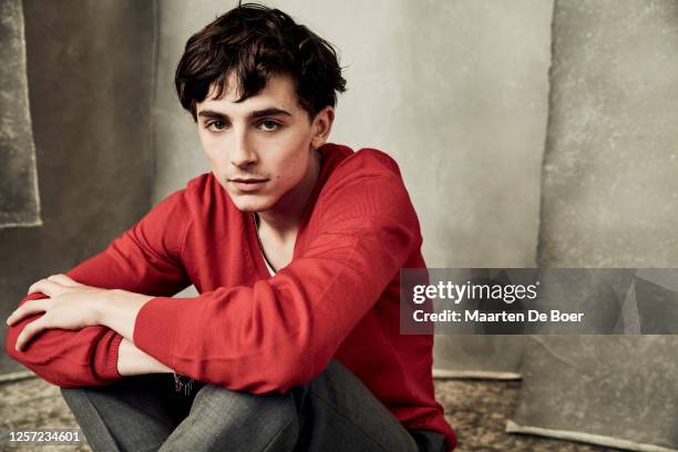 Timothée Chalamet of 'Beautiful Boy' is photographed for Variety during the 2018 Toronto International Film Festival on September 7, 2018 in Toronto,...
