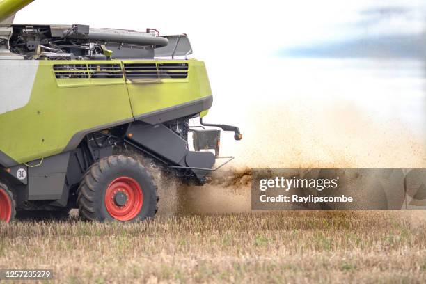 modern state of the art combine harvester harvesting a crop of ripened canola - oilseed rape throwing out clouds of dust and crop residue out of the rear on a late summers evening in the gloucestershire cotswolds. - agricultural equipment stock pictures, royalty-free photos & images