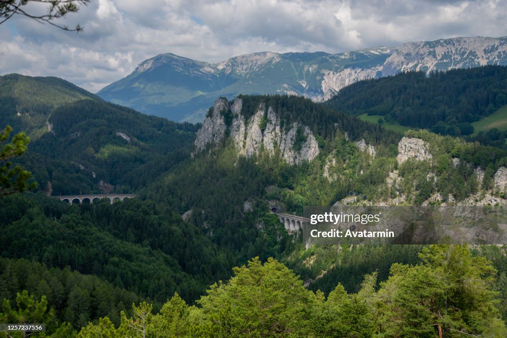 20 Schilling Blick
