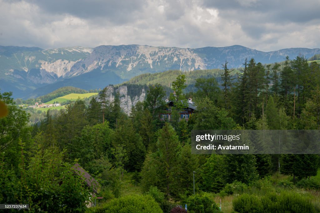 20 Schilling Blick