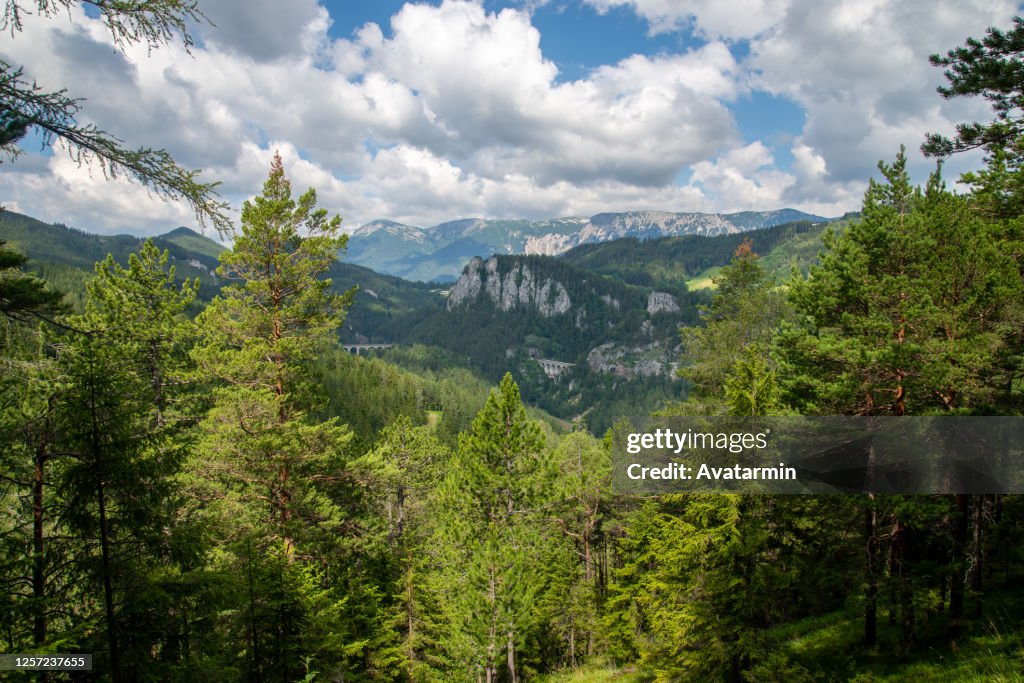 20 Schilling Blick