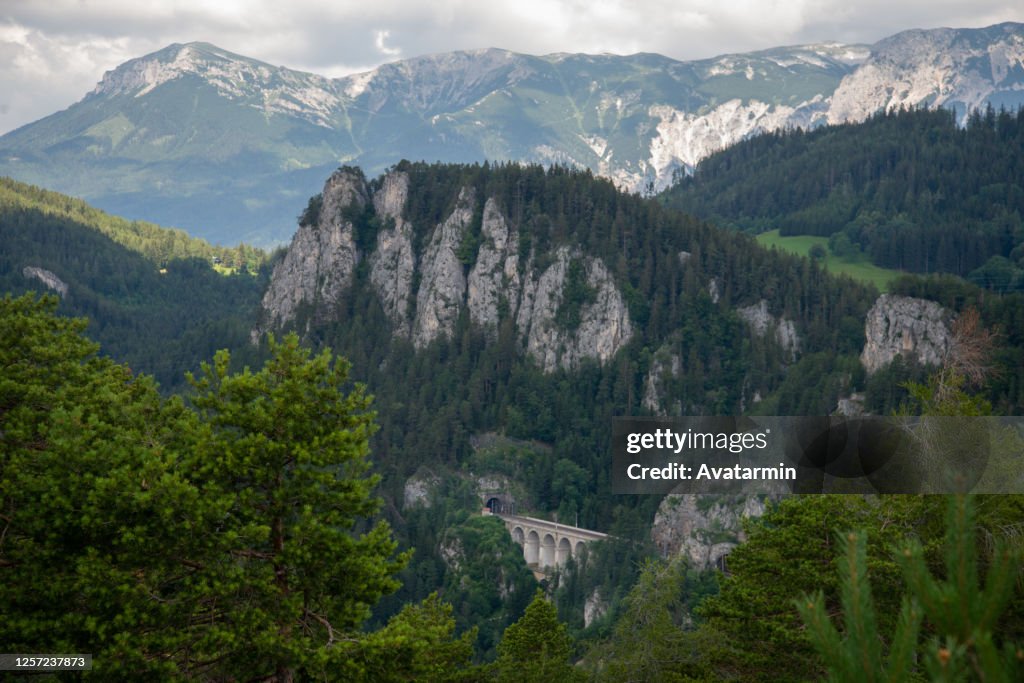 20 Schilling Blick